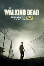 Watch The Walking Dead Projectfreetv